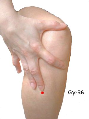 gy36