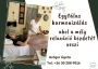 Egytálas harmonizálás: tökéletes ráhangolódás a hangtálas relaxációra